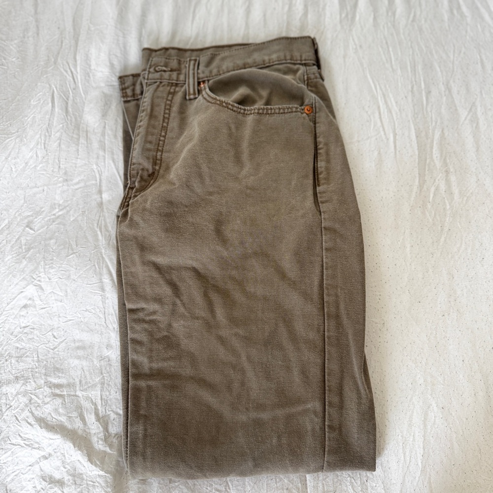 Men's Olive-Taupe Chino Pants